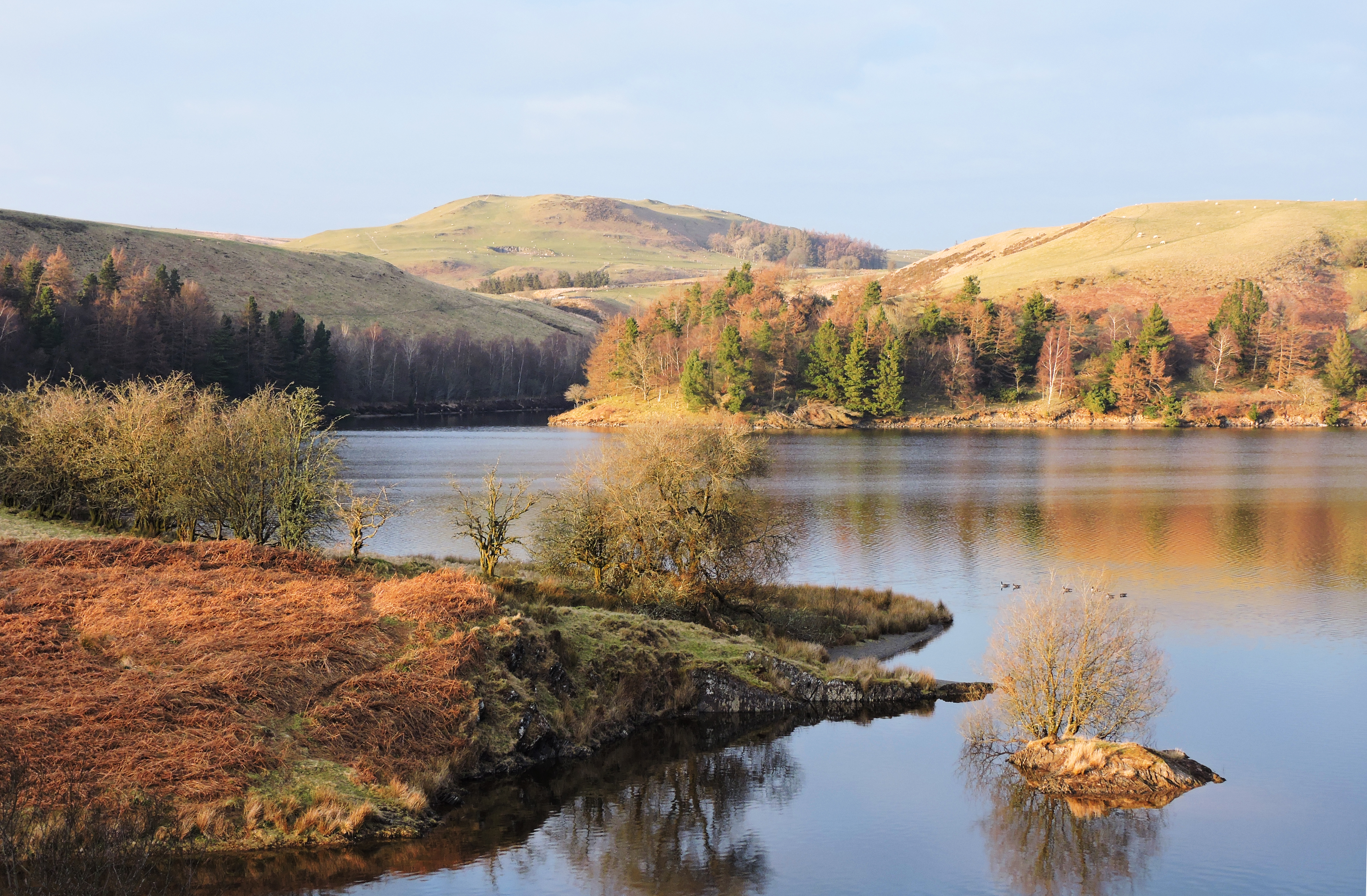 DELIGHTFUL CLYWEDOG Bill Bagley Photography